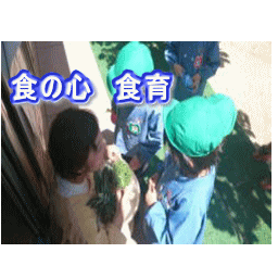 食の心